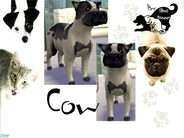 Sims 2 — Cow by tansbunny — A Moo Cow that goes Woof. Hope you like, its the best i could do. *TB*