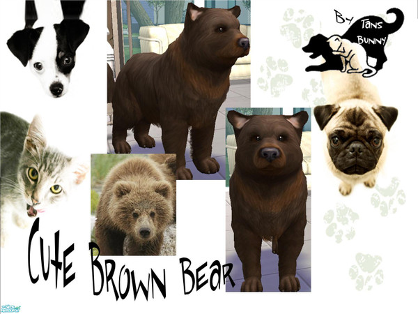 Sims 2 — Cute Brow Bear by tansbunny — Hope you like *TB*