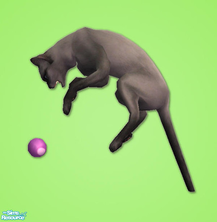 Sims 2 — Kicky Bag for Cats - purple by chrissy6930 — Recolor of kicky bag for cats.