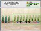 Sims 4 — Potted 'Ouch' Recoloured by juicyc — I went ahead and tweaked a bit the swatches of this base game cactus. I