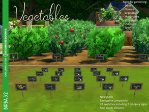 Sims 4 — Signs for Gardening - Vegetables by Birba32 — Signs for gardening is something missed in the game, I was looking