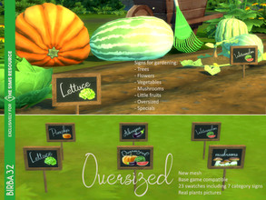 Sims 4 — Signs for Gardening - Oversized by Birba32 — Signs for gardening is something missed in the game, I was looking