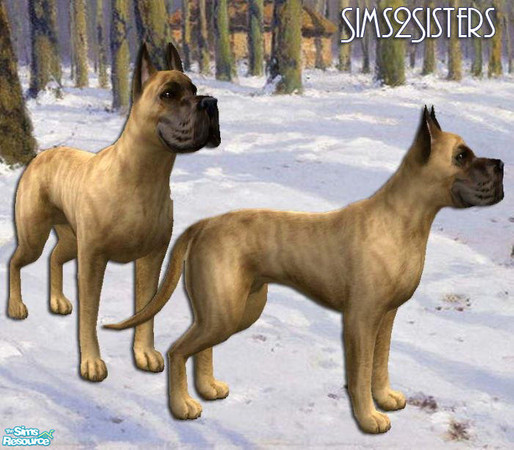 Sims 2 — German bandog - Individual Item by sims2sisters — Enjoy!