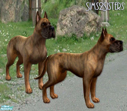 Sims 2 — German bandog - Individual Item by sims2sisters — Enjoy!