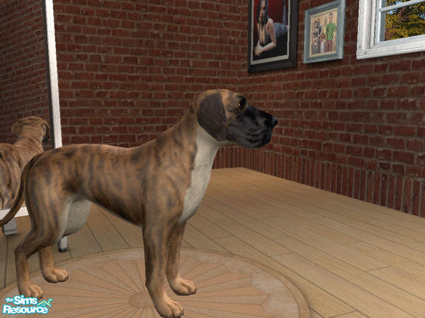 Sims 2 — Natural Ears Great Dane Set -Mantle by calienrealmscat — "The color shall be black and white with a solid