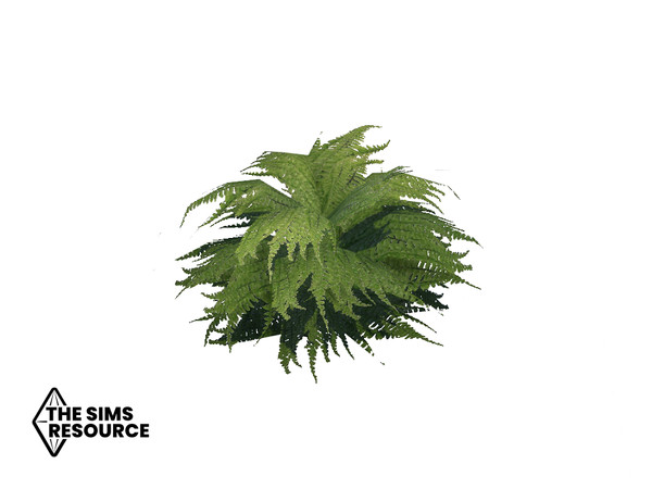 Sims 4 — How Does Your Garden Grow Green Fern by seimar8 — Maxis match green fern Base Game 