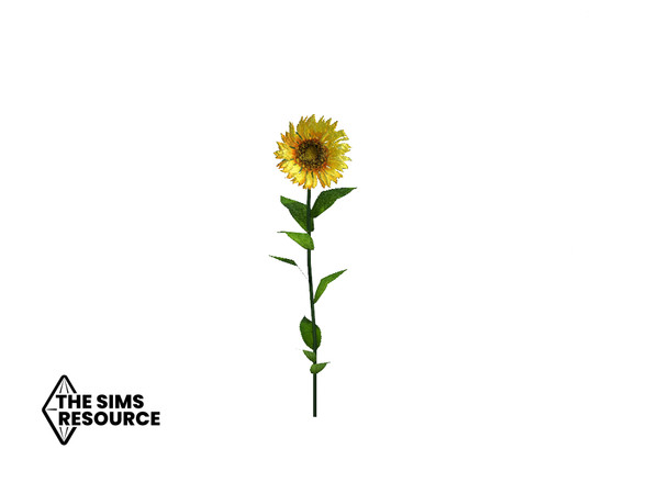 Sims 4 — How Does Your Garden Grow Star Sunflower by seimar8 — Maxis match star sunflower Base Game