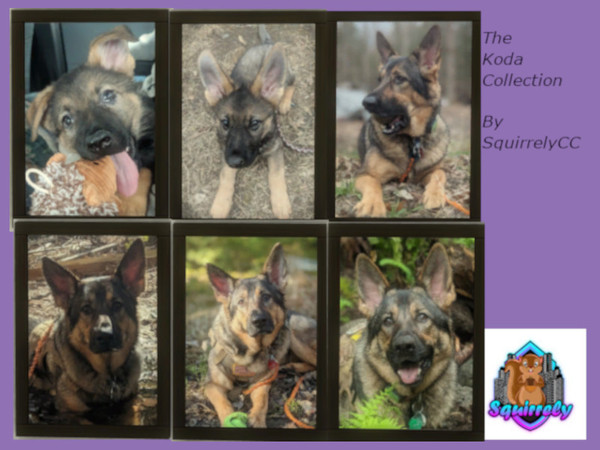 Sims 4 — Koda Collection painting  by Squirrely207 — Koda Collection Painting by SquirrelyCC Enjoy these wall paintings