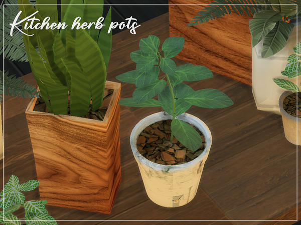 Sims 4 — Kitchen Herb Pots 002 by tokotomy — Kitchen Herb Pots You can find it in the Decorative - Clutter category. :Do