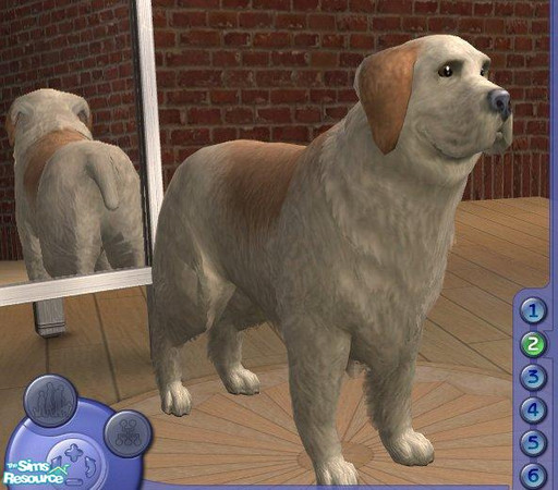 Sims 2 — Clumber Spaniel by Songe — 