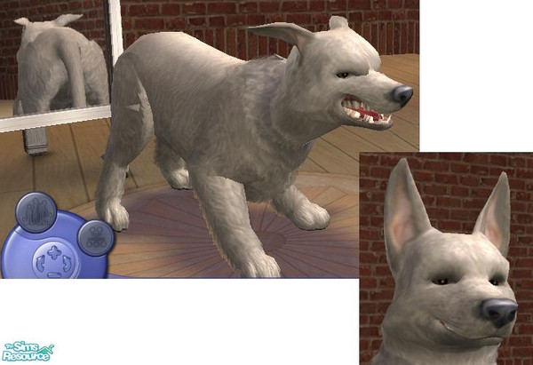 Sims 2 — Bruce - The Wolf by sim-sam2000 — Bruce is a wild dog that roams round Sim City, be careful because he might