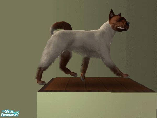 Sims 2 — Siamese Temple Dogs - Individual Item by tmross4 — Flame Point Siamese Temple Dog