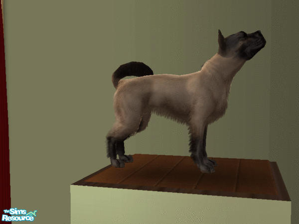 Sims 2 — Siamese Temple Dogs - Individual Item by tmross4 — Chocolate Point Siamese Temple Dog