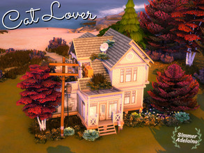 Sims 4 — Cat Lover by simmer_adelaina — This small cozy house is perfect for a cat lover, there is plenty of space for a