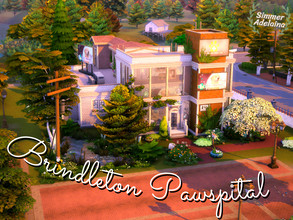 Sims 4 — Brindleton Pawspital by simmer_adelaina — This vet clinic is a cozy and safe place where you can bring your pet