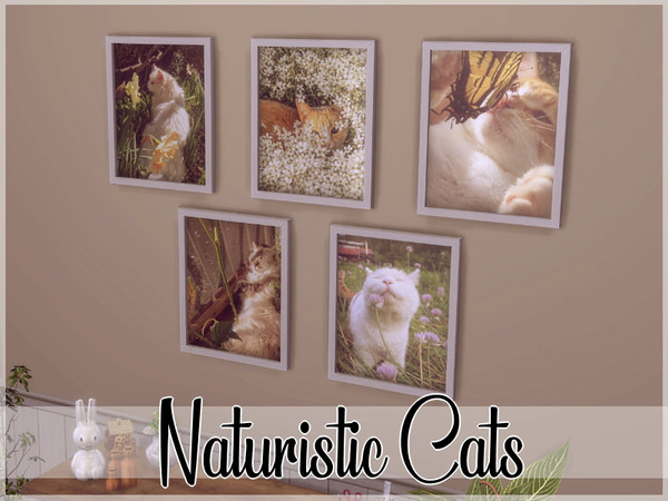 Sims 4 — Naturistic Cats Pictures  by twilightevey — I really wanted some cute cat pictures in my game so thought i'd