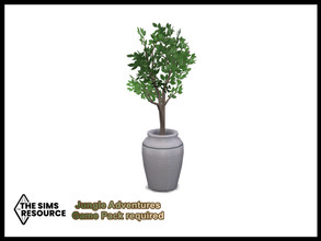 Sims 4 — Back To Nature Potted Tree by seimar8 — Maxis match potted tree in a white clay pot Jungle Adventures Game Pack