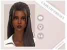 Sims 4 — Cami Lip Preset by Arenetta — - Teen-Elder - Female - Custom Thumbnail