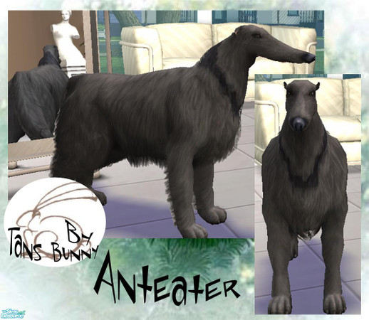 Sims 2 — Anteater by tansbunny — The giant anteater has a long snout. It can lick up ants and termites with its long