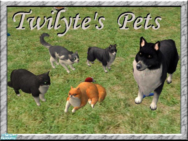 Sims 2 — Twilyte's Pets by Twilyte — Meet Mr. Higgins (red Persian), Ernie (tuxedo cat), Magellan (gray and white cat),