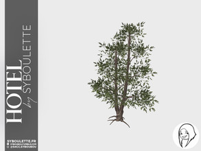 Sims 4 — Hotel - Elm tree by Syboubou — This is an elm tree