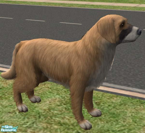 Sims 2 — Sasha - Golden / GSD mix by Freelance_Wolf — A version of my online friend's real life pet, part Golden