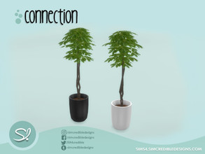 Sims 4 — Connection Plant by SIMcredible! — by SIMcredibledesigns.com available at TSR 2 colors variations