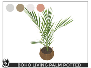 Sims 4 — Modern Boho Living Room Palm Potted Plant by nemesis_im — Palm Potted Plant from Modern Boho Living Room Set - 4