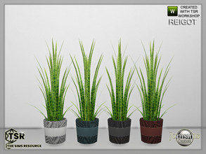 Sims 4 — Reigot Living plant by jomsims — Reigot Living plant