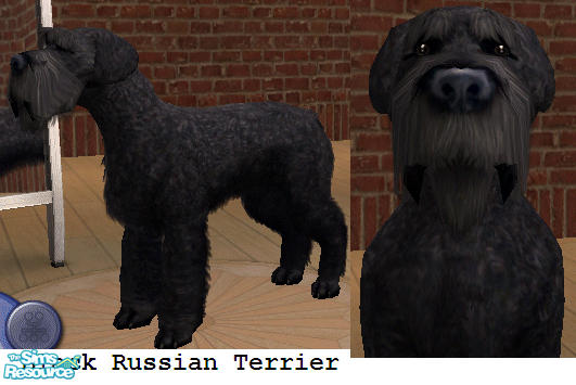 The Resource Black Russian Terrier