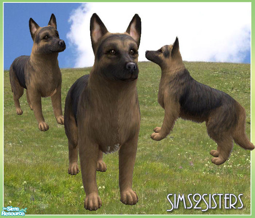 Sims 2 — German Shepherd Dog - Brown by sims2sisters — 