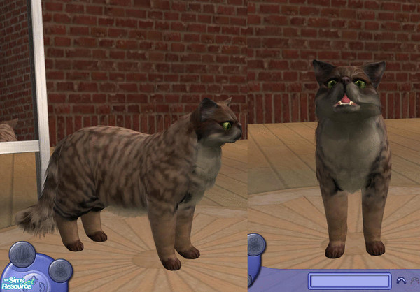 Sims 2 — Bueno by teufelsmienchen — 