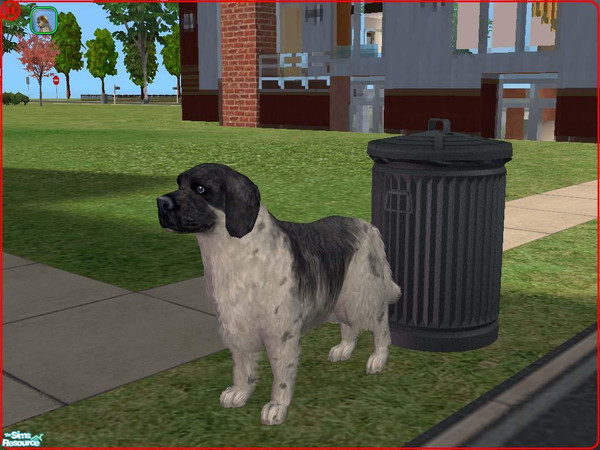 Sims 2 — Landseer by Freelance_Wolf — My version of the Landseer. They are closely related to Newfoundlands and are