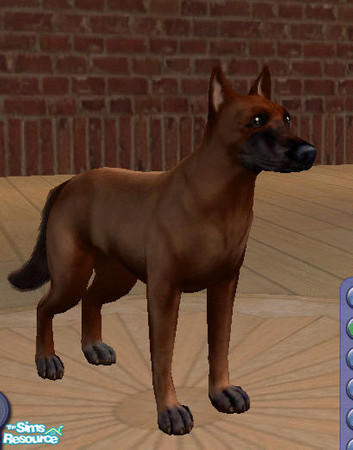 Sims 2 — Sandwolf by amish004 — I modeled this pet after a animal from a sf I'm writing and thought it would make a nice