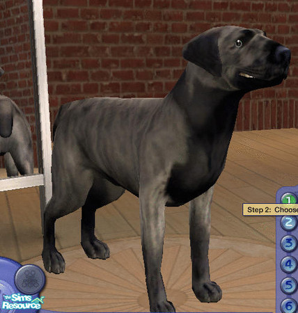 Sims 2 — Silver Doberbull by amish004 — This mix between a Pitbull terrier and a Dobermann is nice change to regular