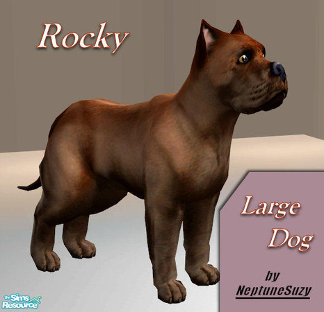 Sims 2 — NSC Pets - Rocky the Dog by Neptunesuzy — Enjoy!