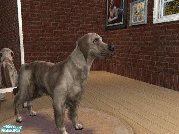 Sims 2 — English Setter by LinLark — The English Setter makes a good hunting companion for rustic cabins