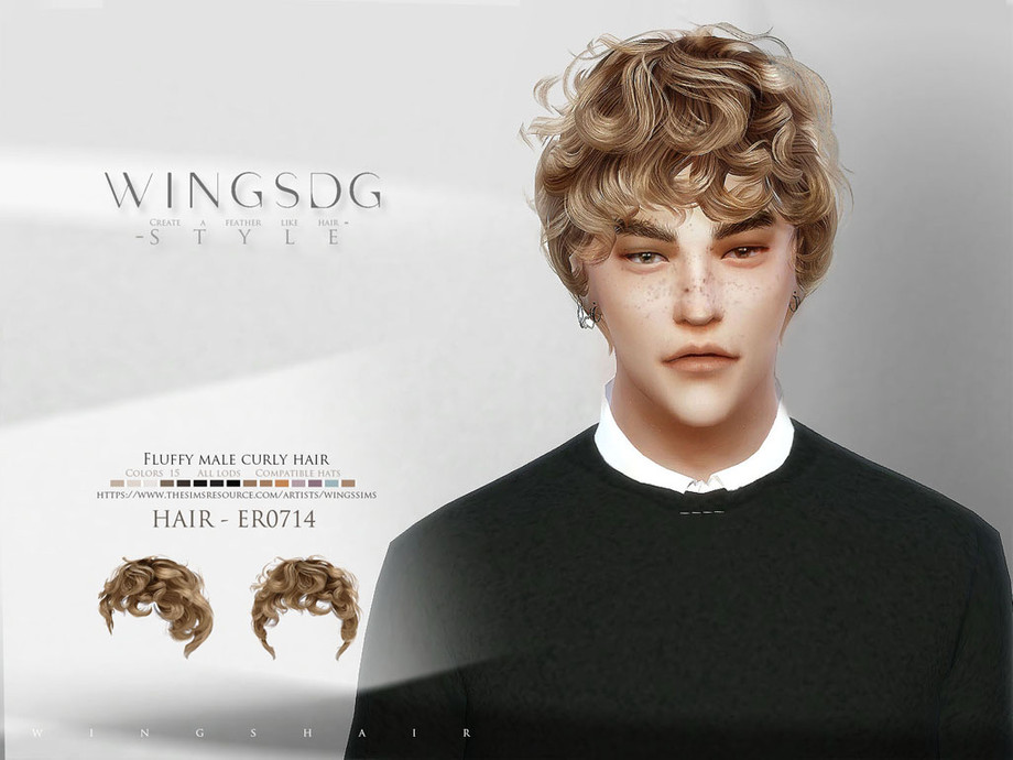 The Sims Resource - Fluffy male curly hair ER0714
