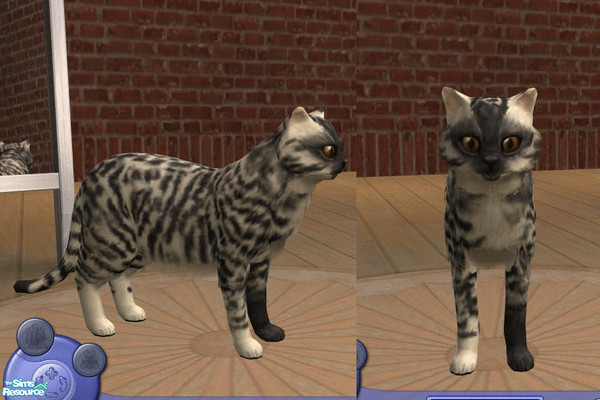 Sims 2 — Babsy by teufelsmienchen — 