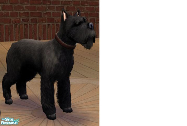 Sims 2 — Mr Pickles by qtkitty — The best scottie I could make.