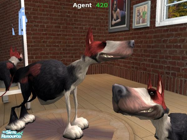 Sims 2 — Fatbelly Bones Dog by Agent420 — Here is the Fatbelly Bones Dog. Massive fat gut with skinny legs and a razor