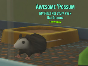 Sims 4 — Awesome 'Possum (Rat Recolor) ECO VER. by Pastel_Butterfly — A happy lil' house opossum for your cuddling