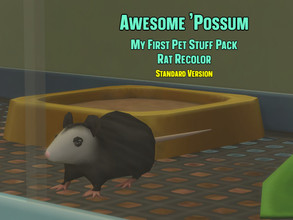 Sims 4 — Awesome 'Possum (Rat Recolor) STANDARD VER. by Pastel_Butterfly — A happy lil' house opossum for your cuddling