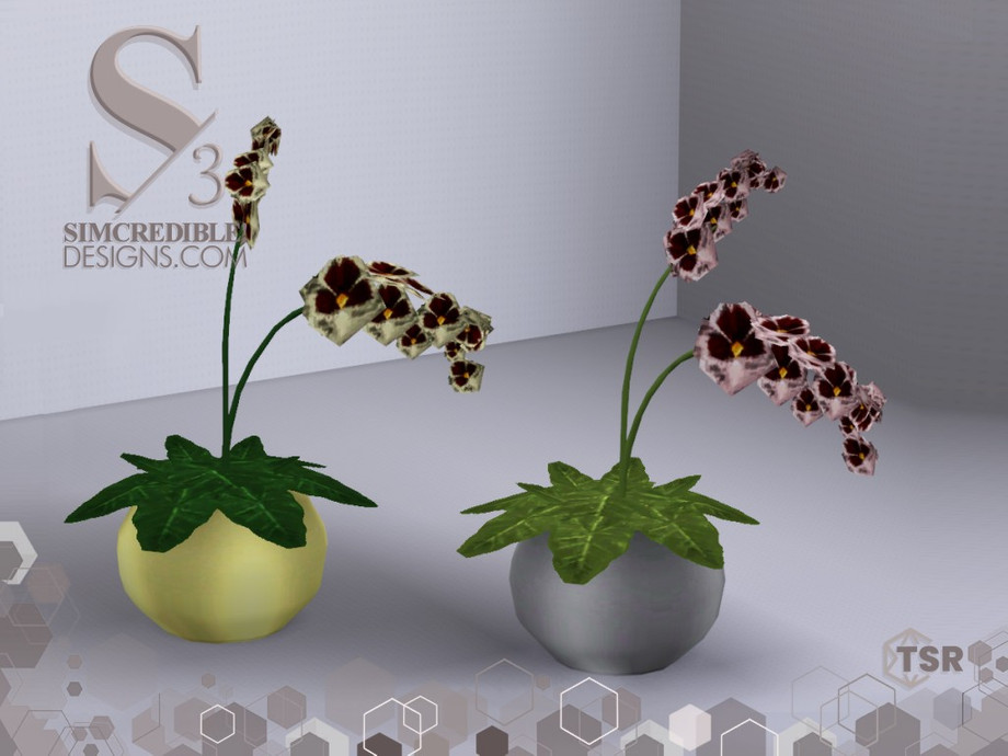 The Sims Resource Latitude Orchid