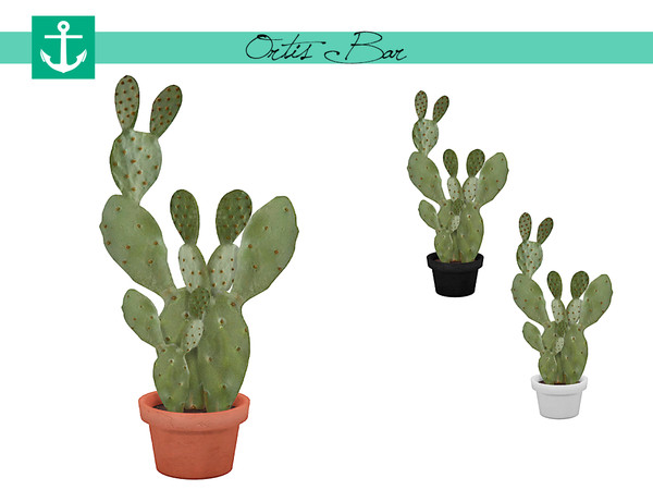Sims 4 — Ortis Bar - Opuntia Plant by zarkus — Ortis Bar - Opuntia Plant 3 colors