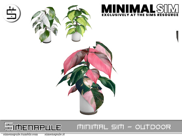 Sims 4 — Outdoor Minimal Sim - Plant by Simenapule — Outdoor Minimal Sim - Plant Philodendron Pink Princess. 3 colors.