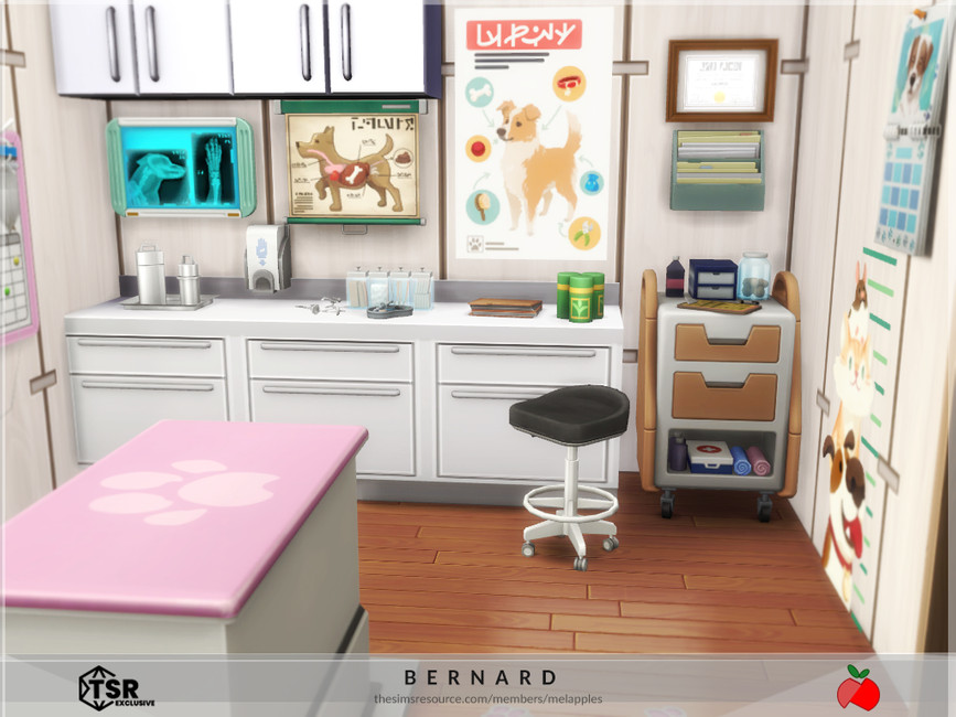 The Sims Resource Bernard vet clinic