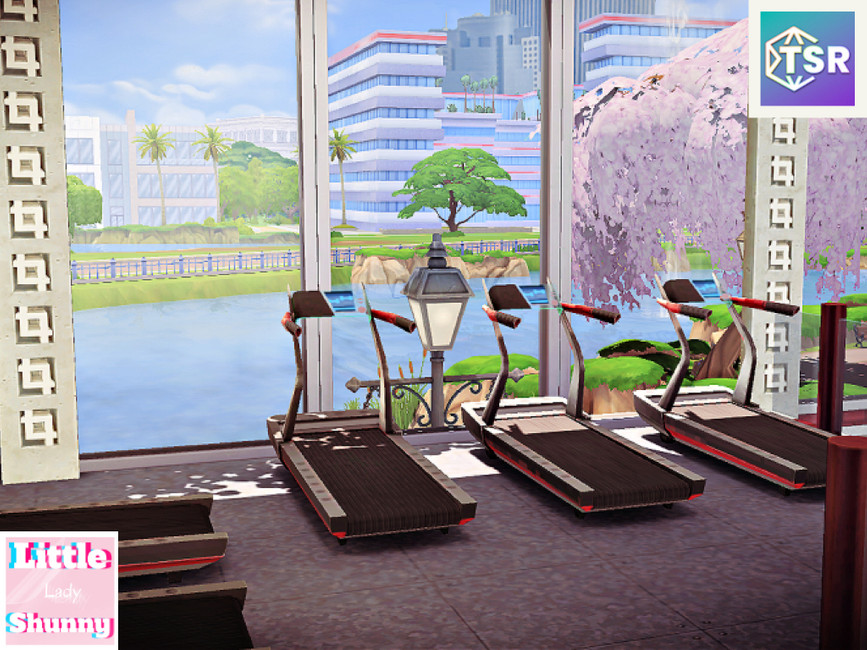 The Sims Resource New Crest Gym