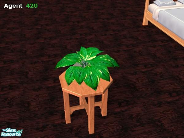 Sims 2 — Very Green, Super Healthy Hosta by Agent420 — Part of the "Simtastic Fresh New Table Top Hostas" Set.