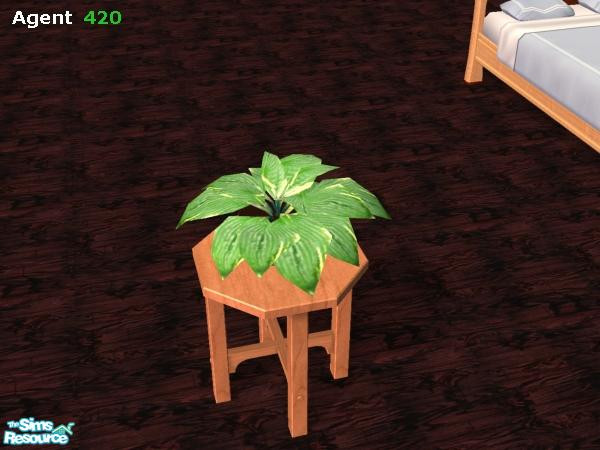 Sims 2 — Natural Looking Hosta by Agent420 — Part of the "Simtastic Fresh New Table Top Hostas" Set. Real Hosta